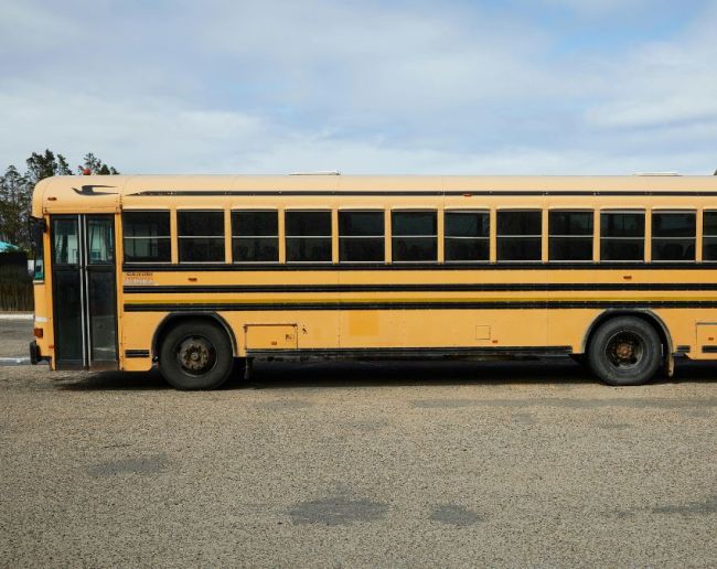 School Bus Peele Rang Ki Kyon Hoti Hai-1-2-3