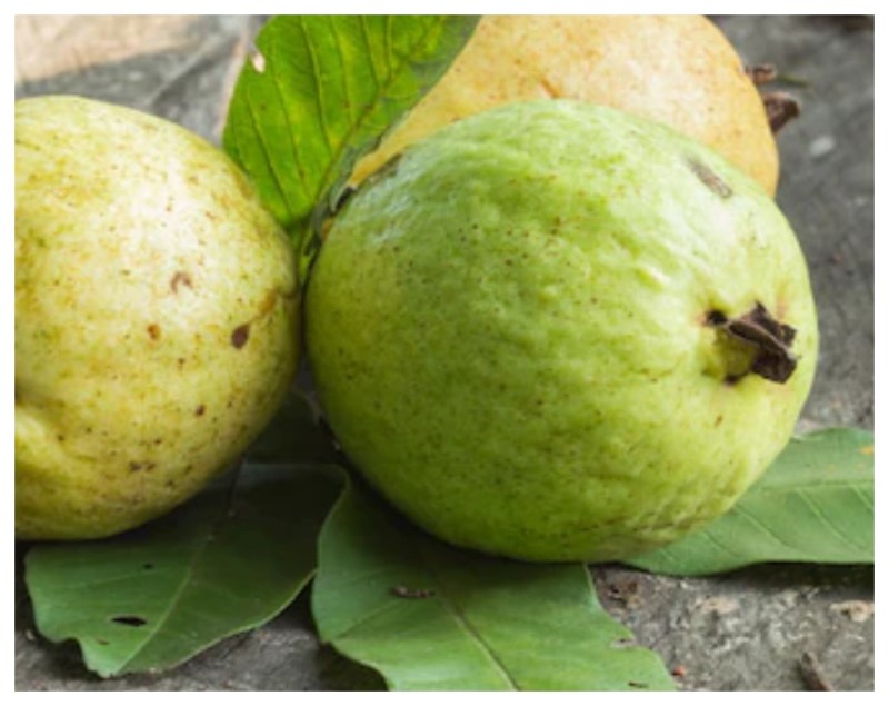 fruits for diabetes patients -1-2-3-4