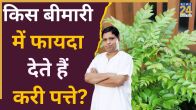 Curry Patte Khane Ke Fayde