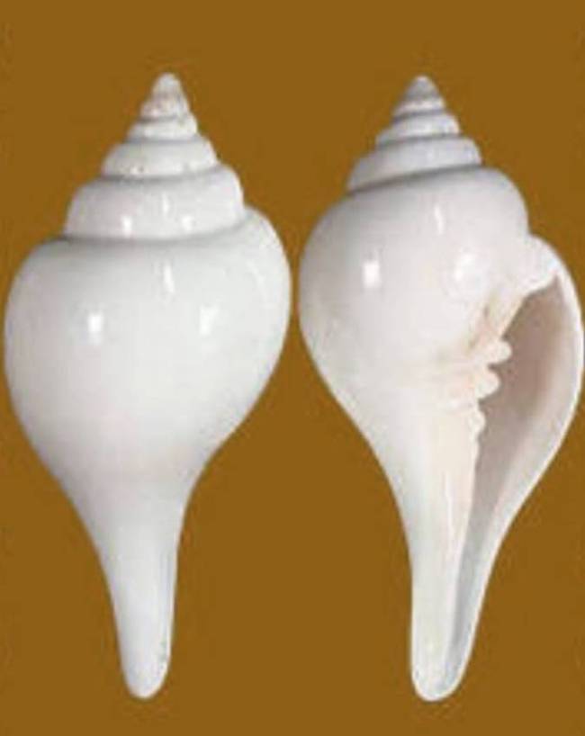 Mahashivratri-2026-1-2-3-4-5