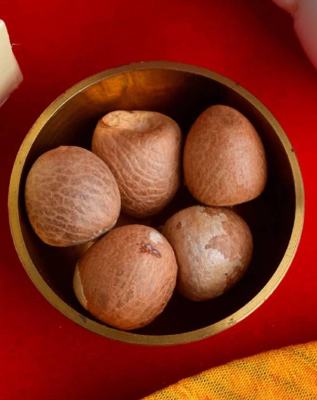 Mahashivratri-2026-1-2-3-4-5-6