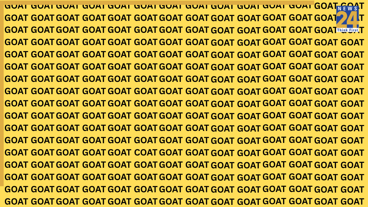 goat coat goat coat-1