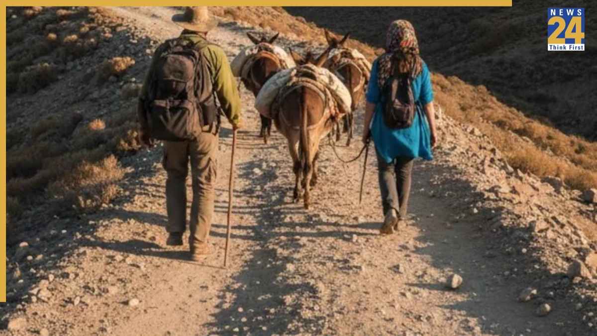 डंकी रूट से US जाने का सपना पड़ा भारी, अजरबैजान में दो भारतीय किडनैप; लाइव VIDEO पर टॉर्चर कर मांगी फिरौती