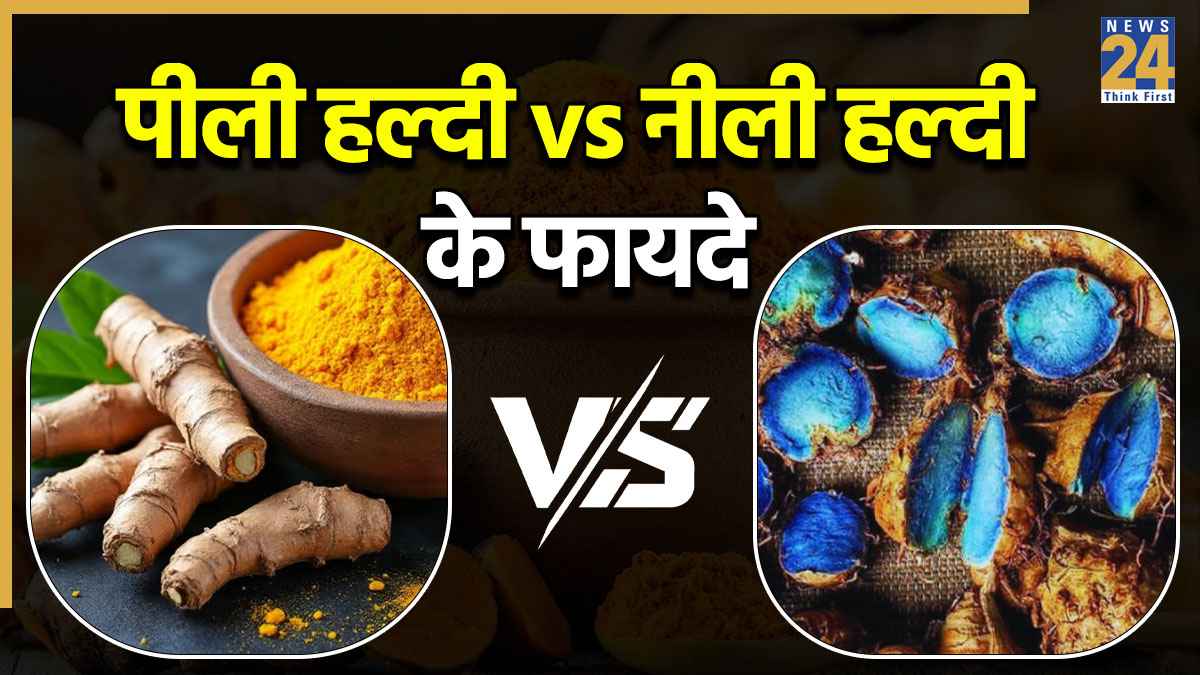 पीली हल्दी Vs नीली हल्दी, हेल्थ के लिए कौन सा पाउडर है बेस्ट? यहां जानिए इसका सही जवाब  