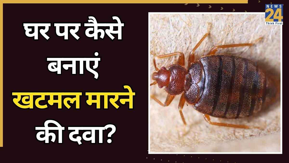खटमल को जड़ से कैसे खत्म करें? जानिए घर पर ही दवा बनाकर बिस्तर से खटमल कैसे हटाएं