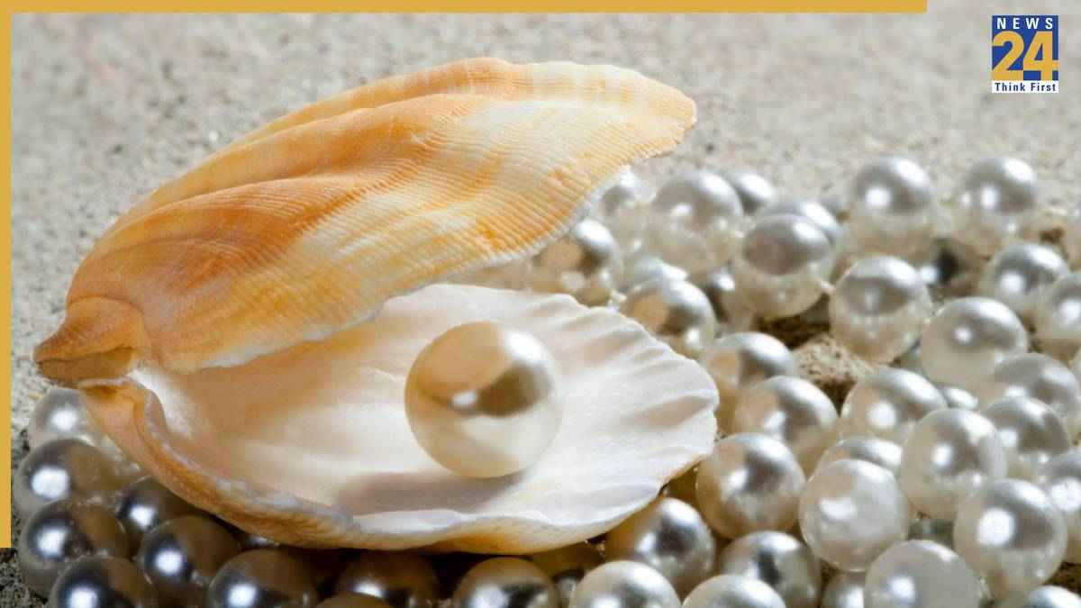 pearl-wearing-rules