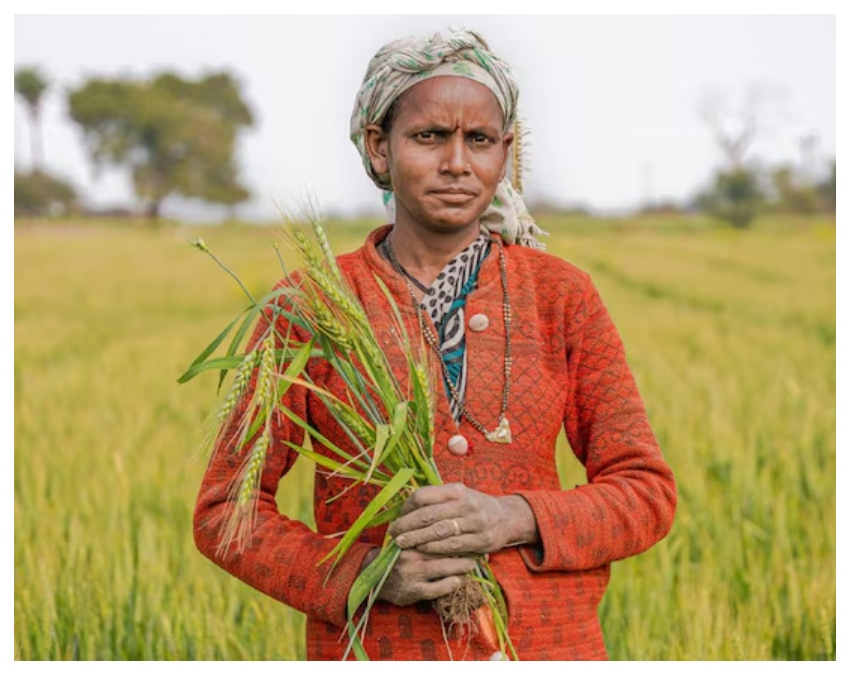 PMFBY (1) -1-2-3-4-5-6