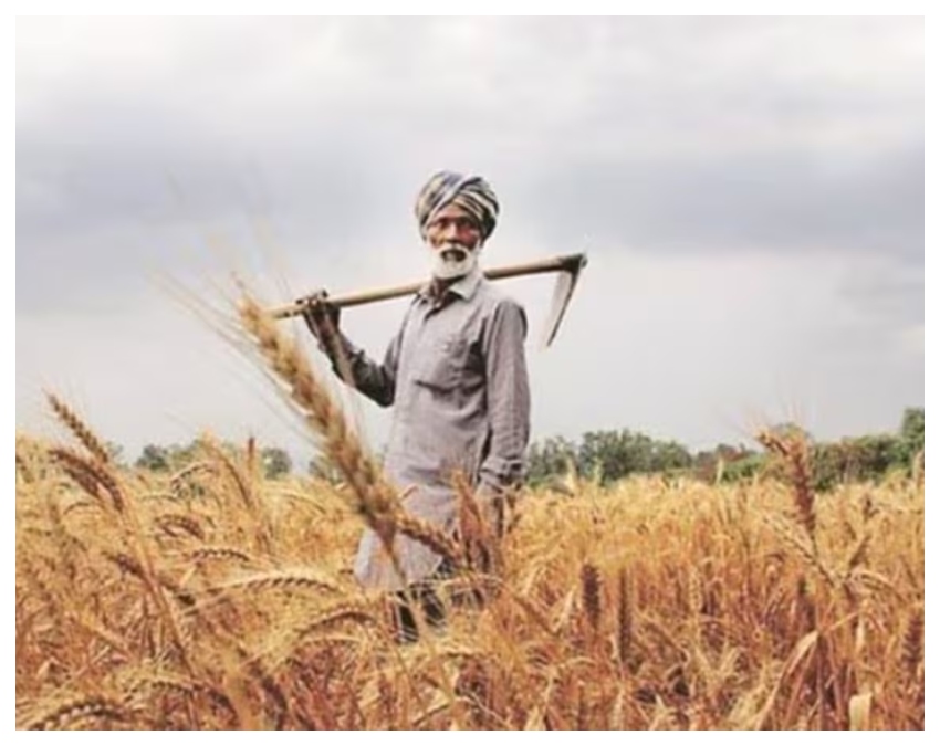 PMFBY (1) -1-2-3-4-5-6-7