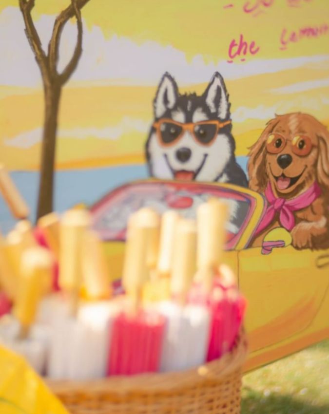 rashmika mandanna vijay deverakonda wedding (2) -1-2-3