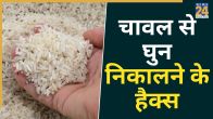 Chawal Ke Container