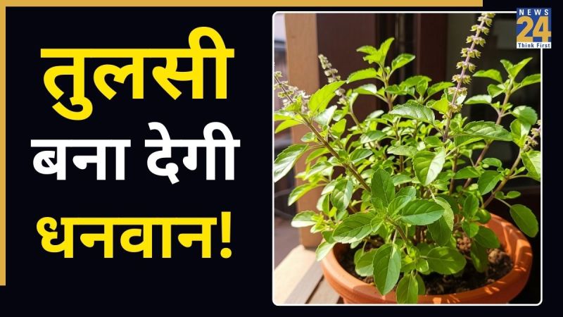 tulsi-ke-upay