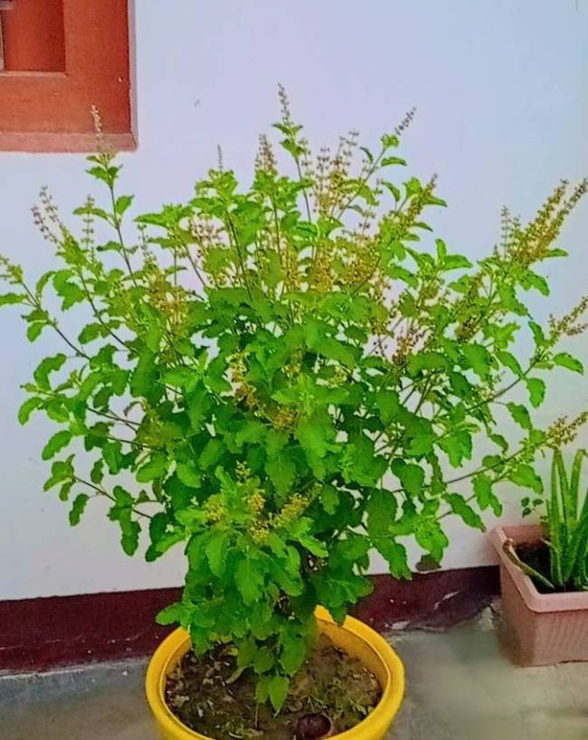 vastu-tips-1-2-3-4-5