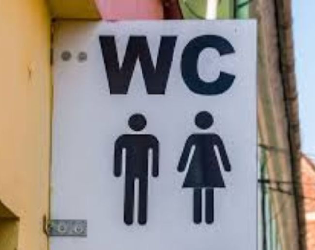 What is the WC toilet-1-2-3-4