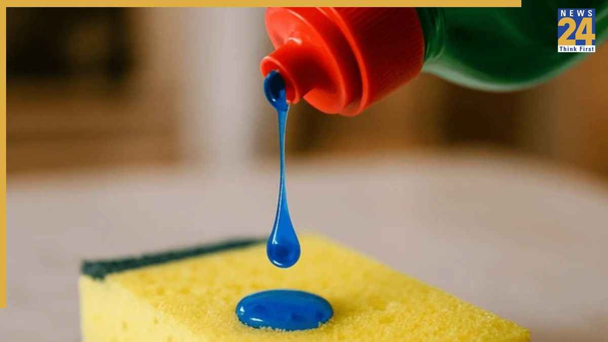 Is Dishwash Liquid Toxic