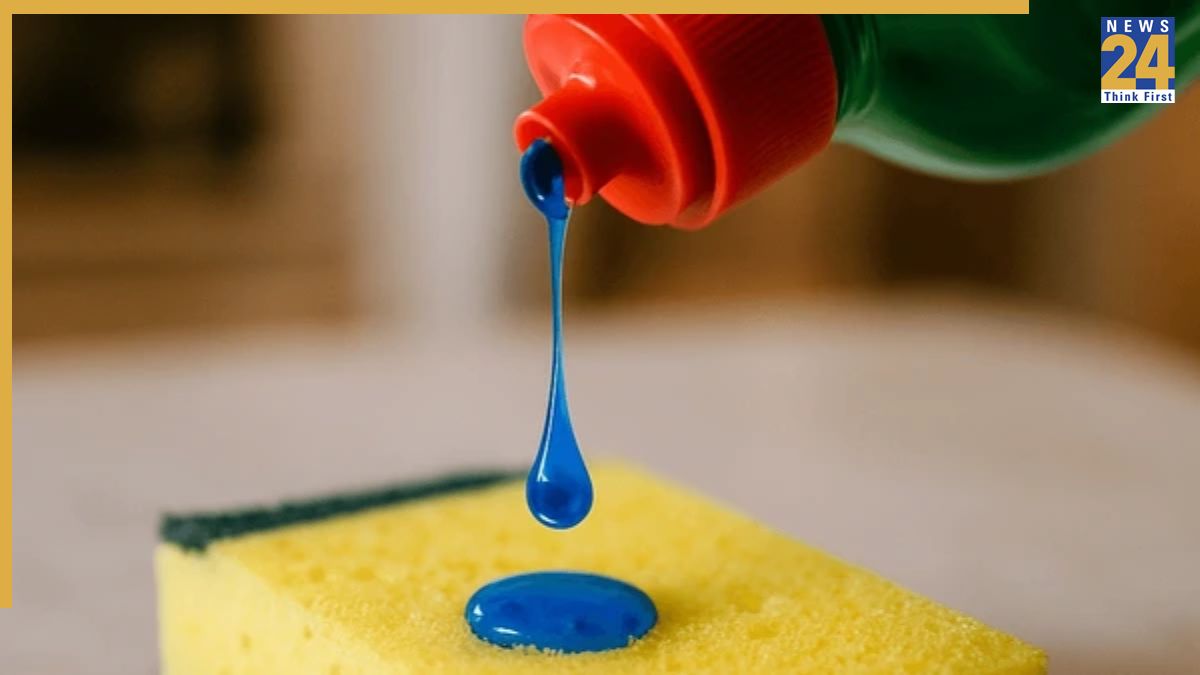 Is Dishwash Liquid Toxic-1