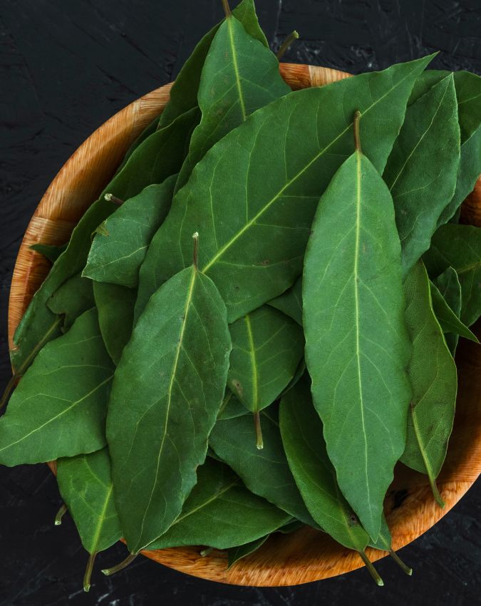 Curry Leaves Benefits-1-2-3-4-5-6-7