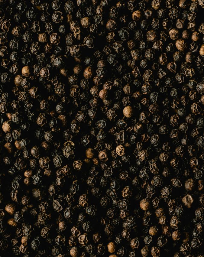 Lizards Home Remedies-1-2-3-4