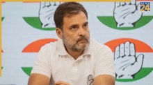 क्या है दोहरी नागरिकता मामला? जिसकी वजह से राहुल गांधी पर होगी FIR, हाई कोर्ट ने दिया आदेश