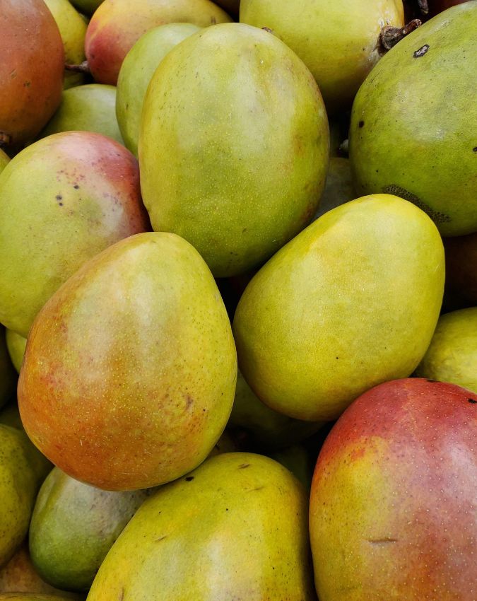 Aam Kise Nahi Khana Chahiye-1-2-3-4-5-6