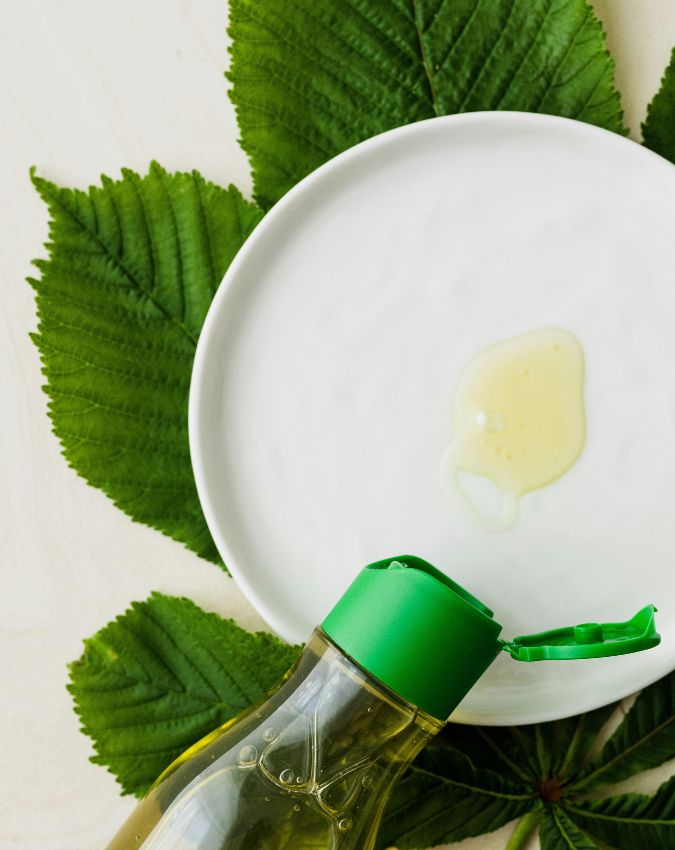 Lizards Home Remedies-1-2-3-4-5-6-7