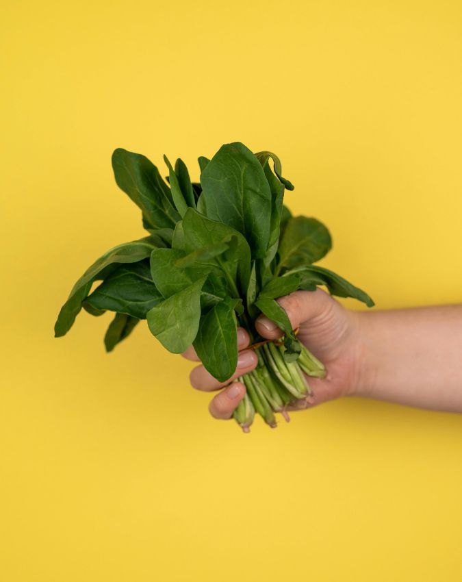 Khoon Badhane Ke Liye Kya Khaye Blood Increasing Food-1-2