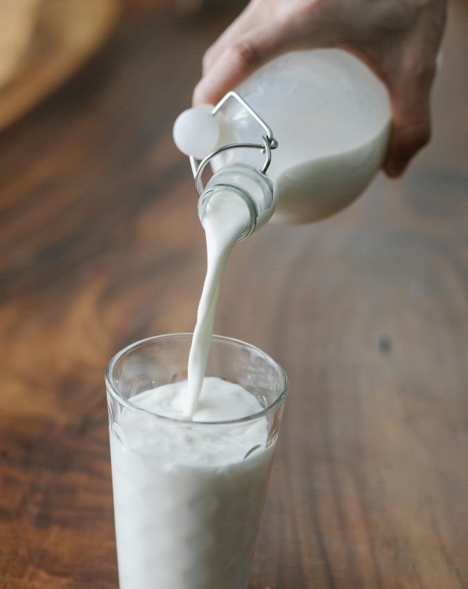 Protein Rich Foods-1-2-3-4-5-6-7-8-9-10