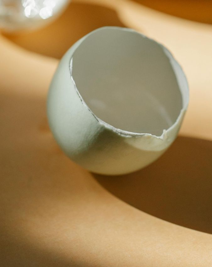 Lizards Home Remedies-1-2-3