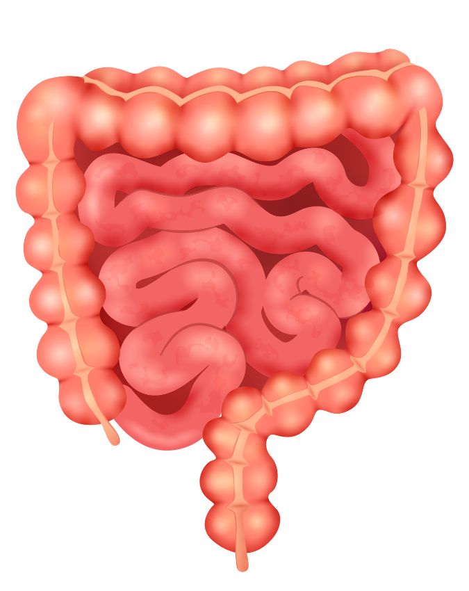 Appendix Symptoms-1-2-3-4-5-6-7
