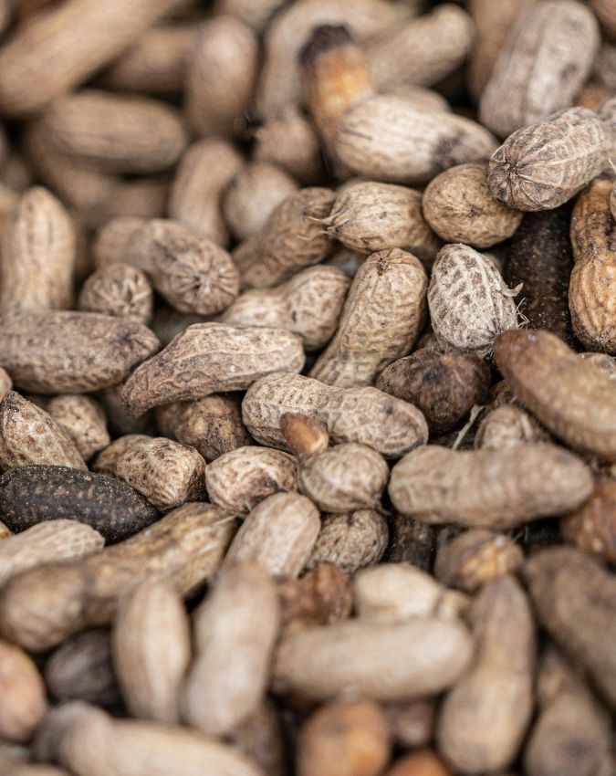 foods for strong hair Foods For Strong Hair-1-2-3