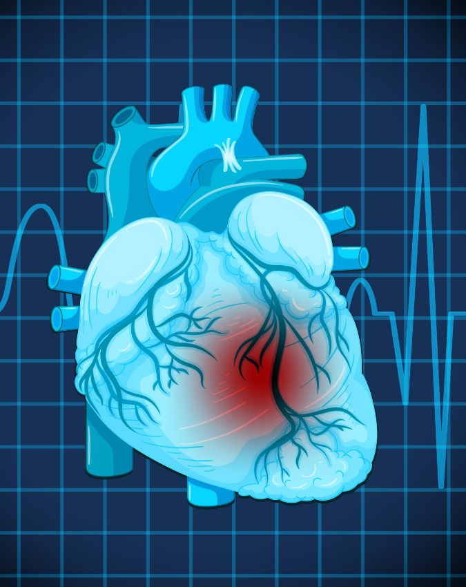 Bheege Chane Khane Ke Fayde Bheege Chane Khane Ke Fayde-1-2-3-4-5