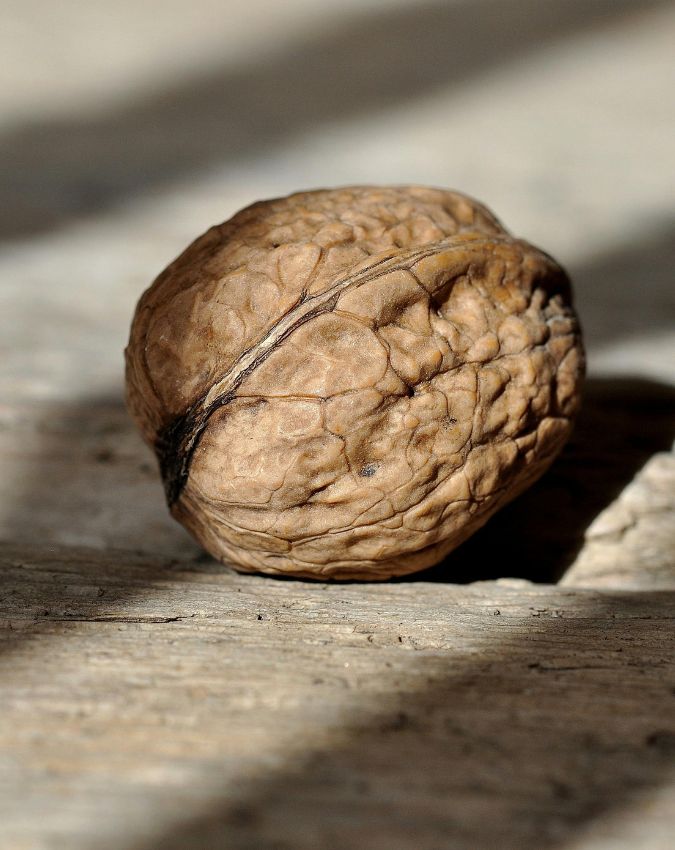 Brain boosting foods Brain Boosting Food-1-2-3