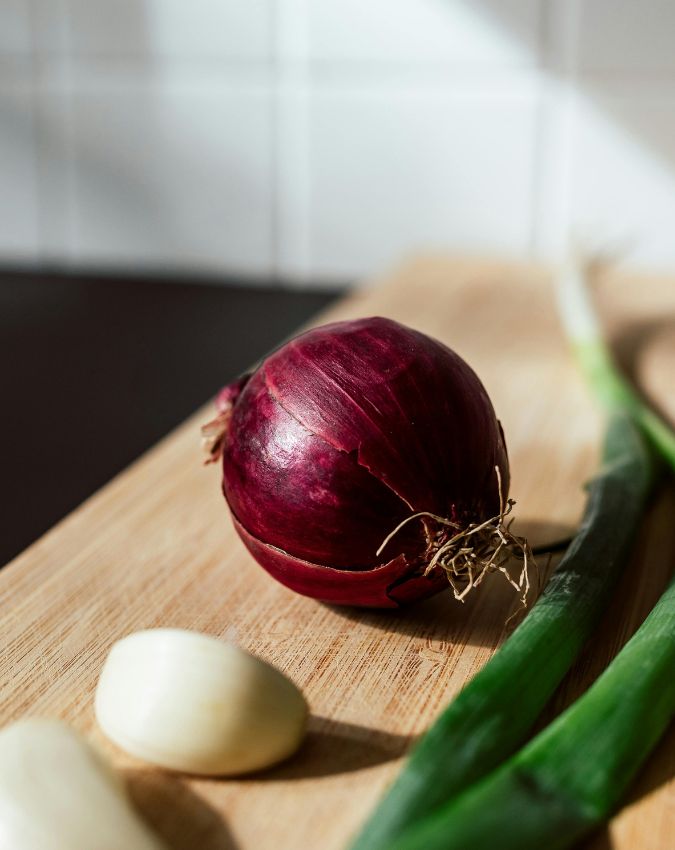 Lizards Home Remedies-1-2