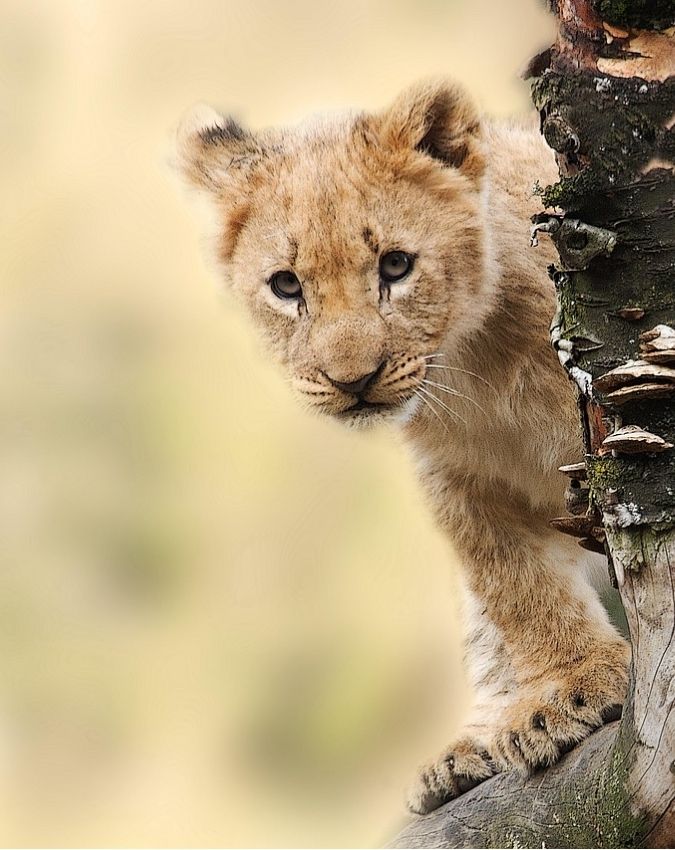 what you should not post on facebook-1-2-3-4-5-6-7-8