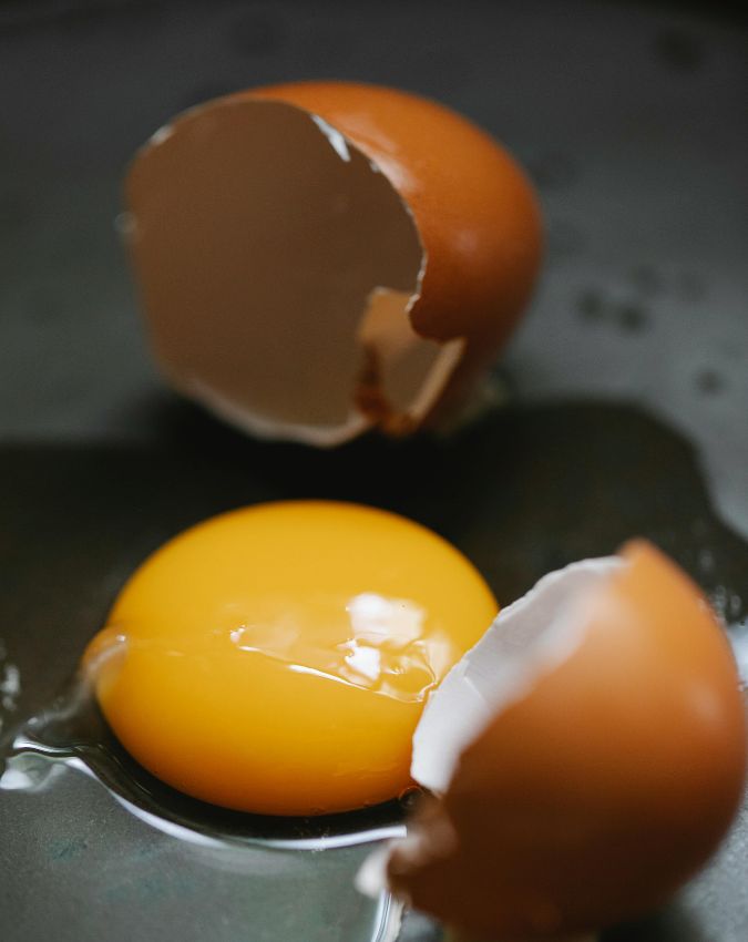 Protein Rich Foods-1-2-3-4-5-6-7