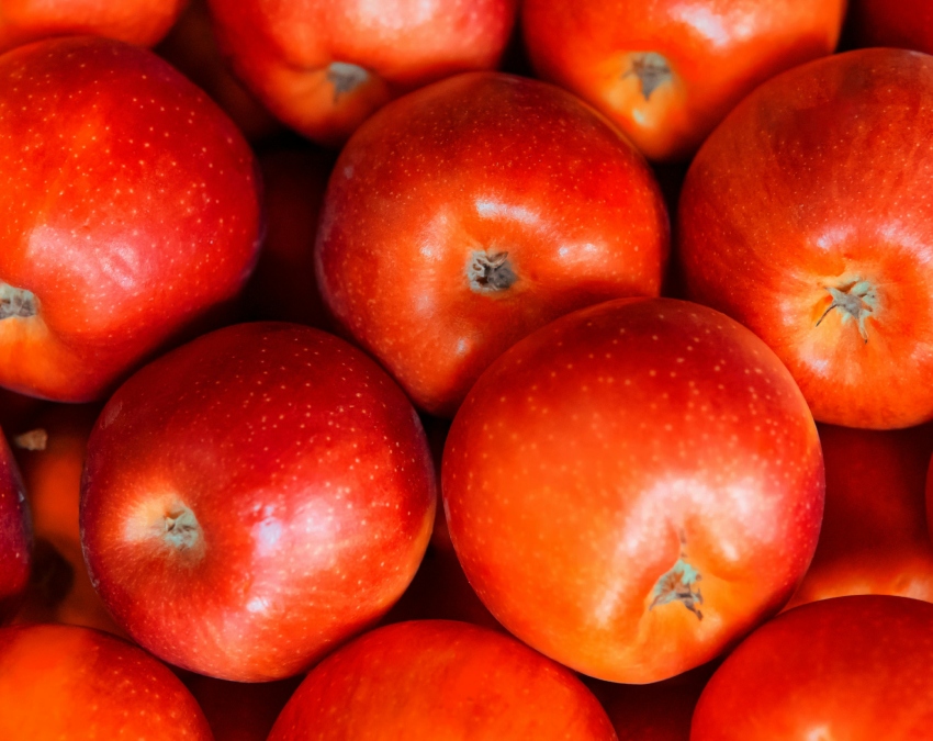 fatty liver-1-2-3-4-5-6-7-8