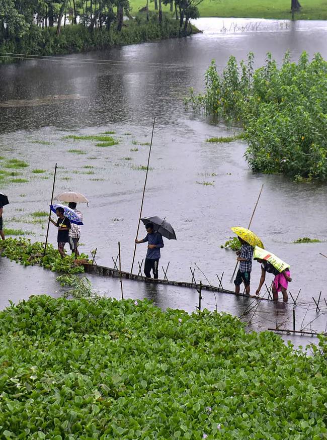 IMD Weather Forecast-1-2-3-4