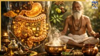 Ayurvedic Gut Health Remedies
