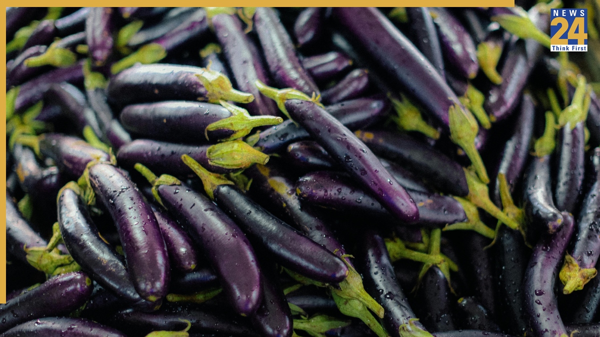 Baingan Buying Tips-1