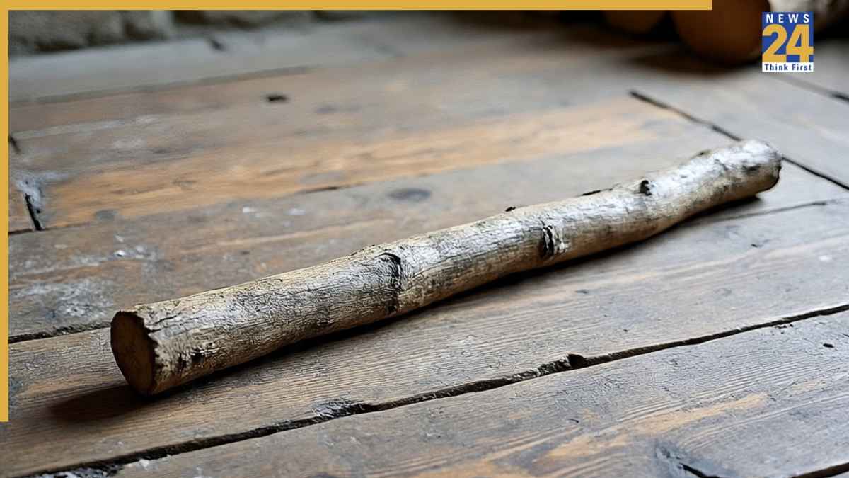 Bamboo Wood
