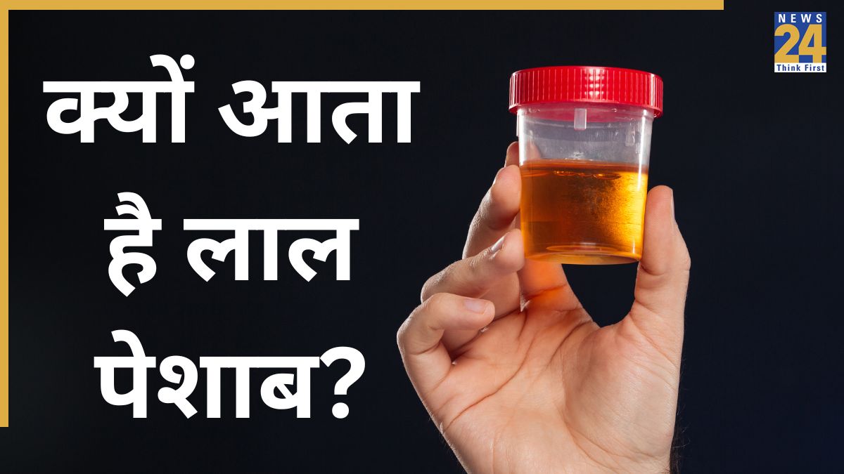 Blood in urine causes lal peshab-1
