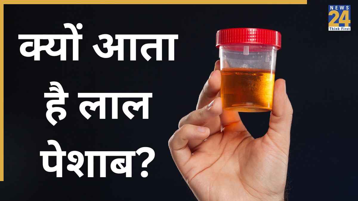 Blood in urine causes lal peshab
