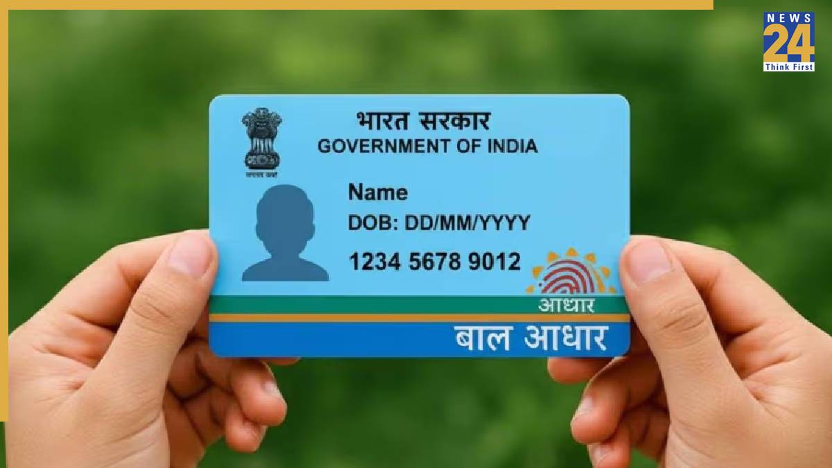 Blue Aadhaar Card-1