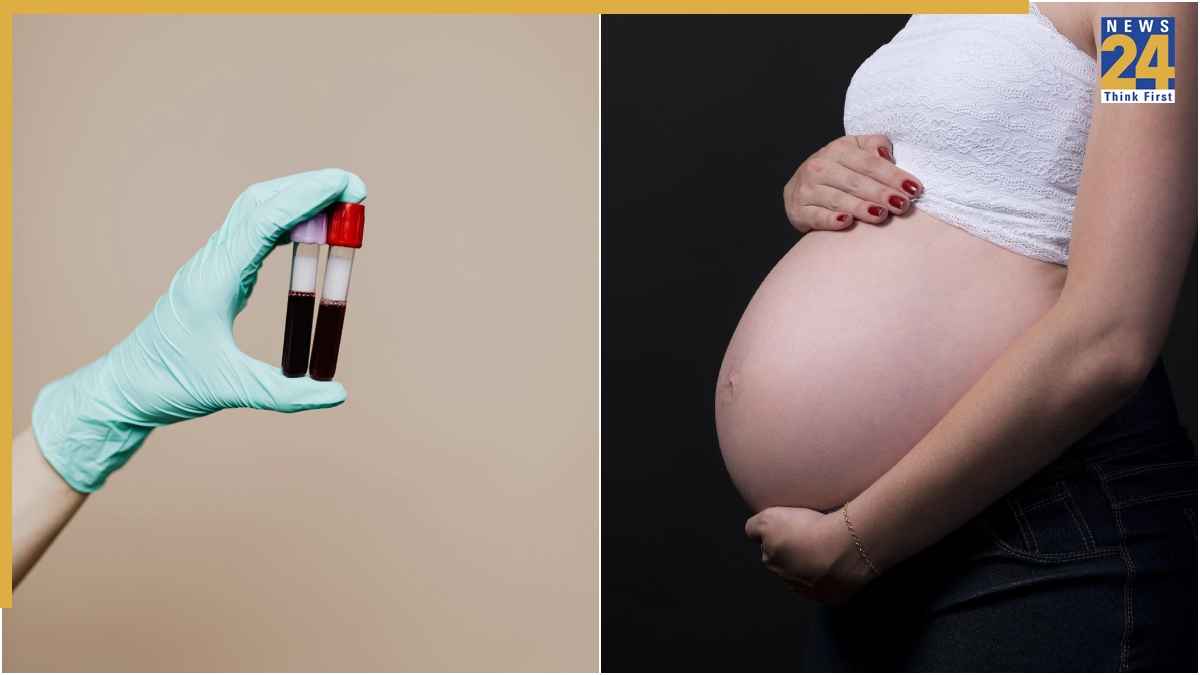 क्या एनीमिया की वजह से मां बनने में आ सकती है परेशानी? जानिए खून की कमी का प्रेग्नेंसी और फर्टिलिटी पर कैसा पड़ता है असर