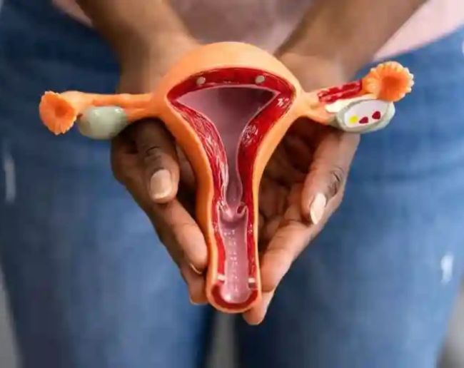 Cervical Cancer Kaise Hota Hai-1-2-3