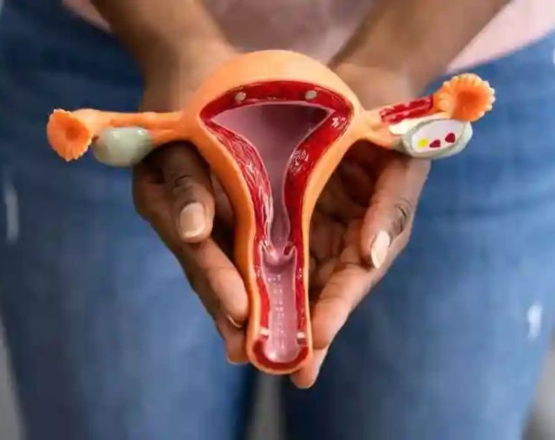 Cervical Cancer Kaise Hota Hai Cervical Cancer Kaise Hota Hai-1-2-3