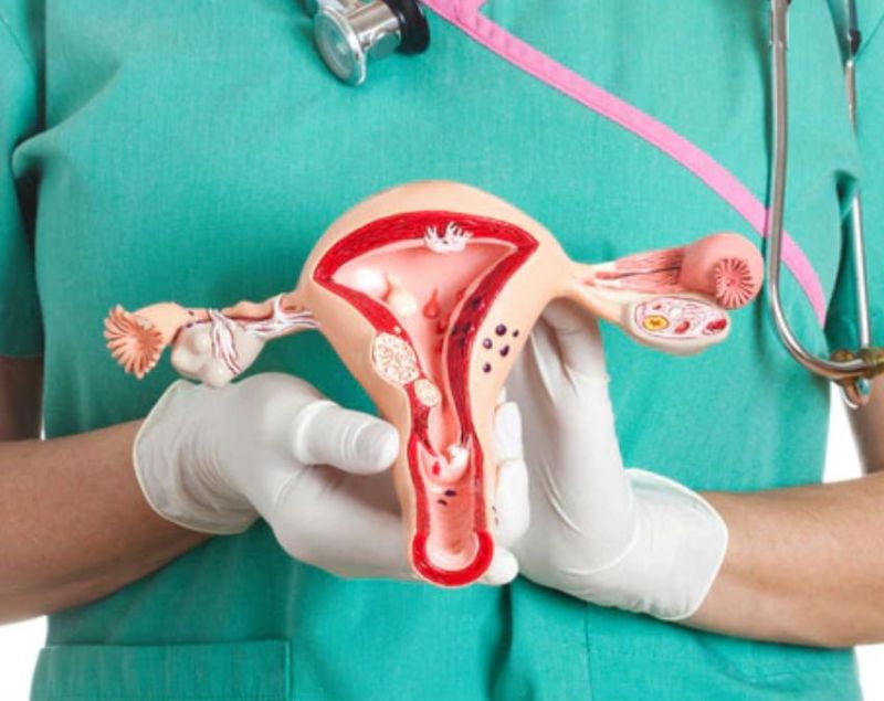 Cervical Cancer Kaise Hota Hai Cervical Cancer Kaise Hota Hai-1-2