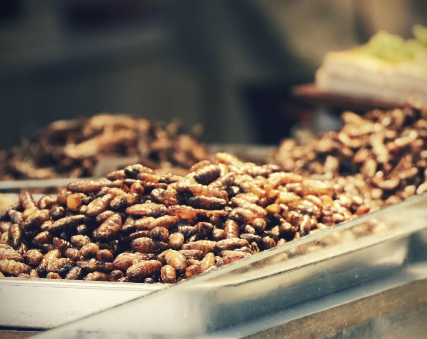 What Meat Do Chinese People Eat-1-2