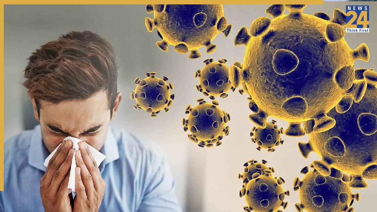 Corona Virus
