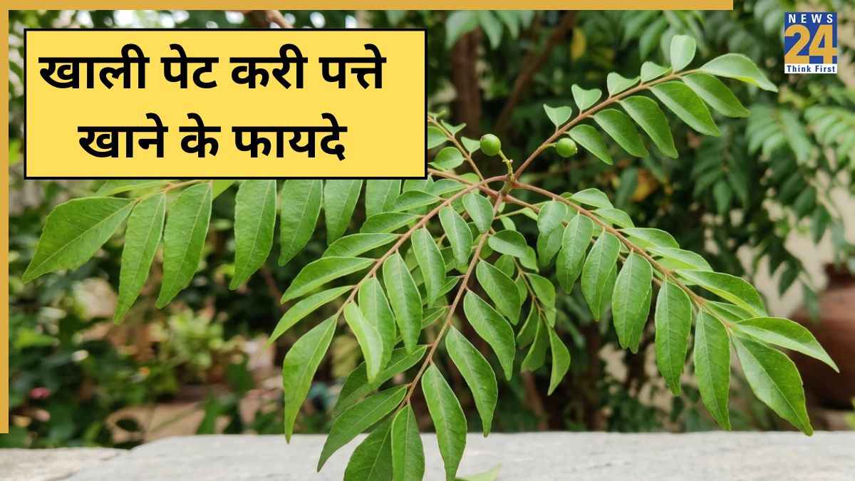 Curry Leaves Benefits