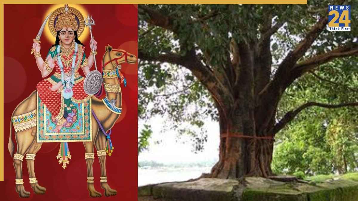 Dasha Mata Vrat Katha: आज 13 मार्च 2026 को दशा माता व्रत पर पढ़ें ये कथा, बदलेंगे दिन और होगा लाभ ही लाभ